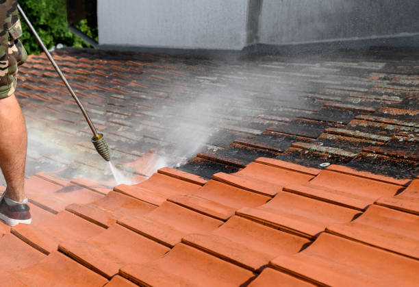 Best Best Pressure Washing Companies  in Benton Harbor, MI