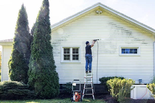 Best Residential Pressure Washing Services  in Benton Harbor, MI